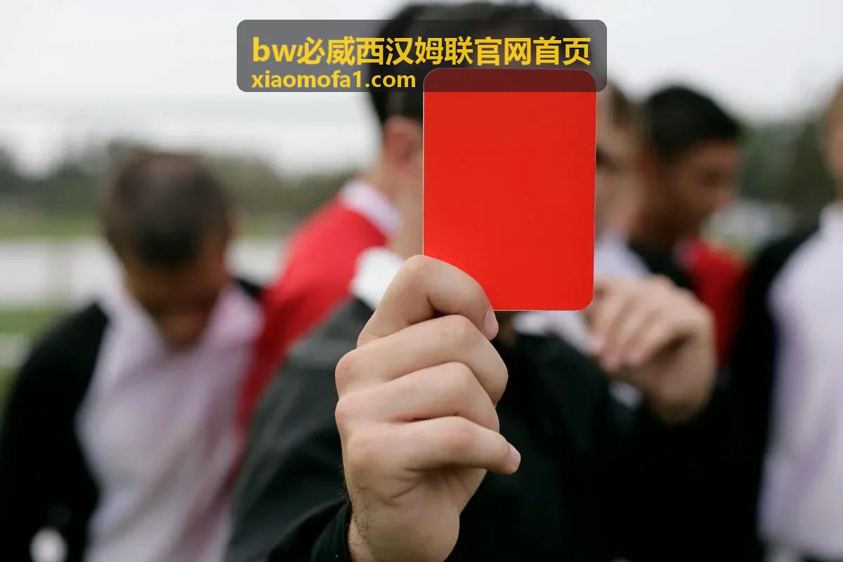 bw必威西汉姆联官网首页信息核对与来源确认示意