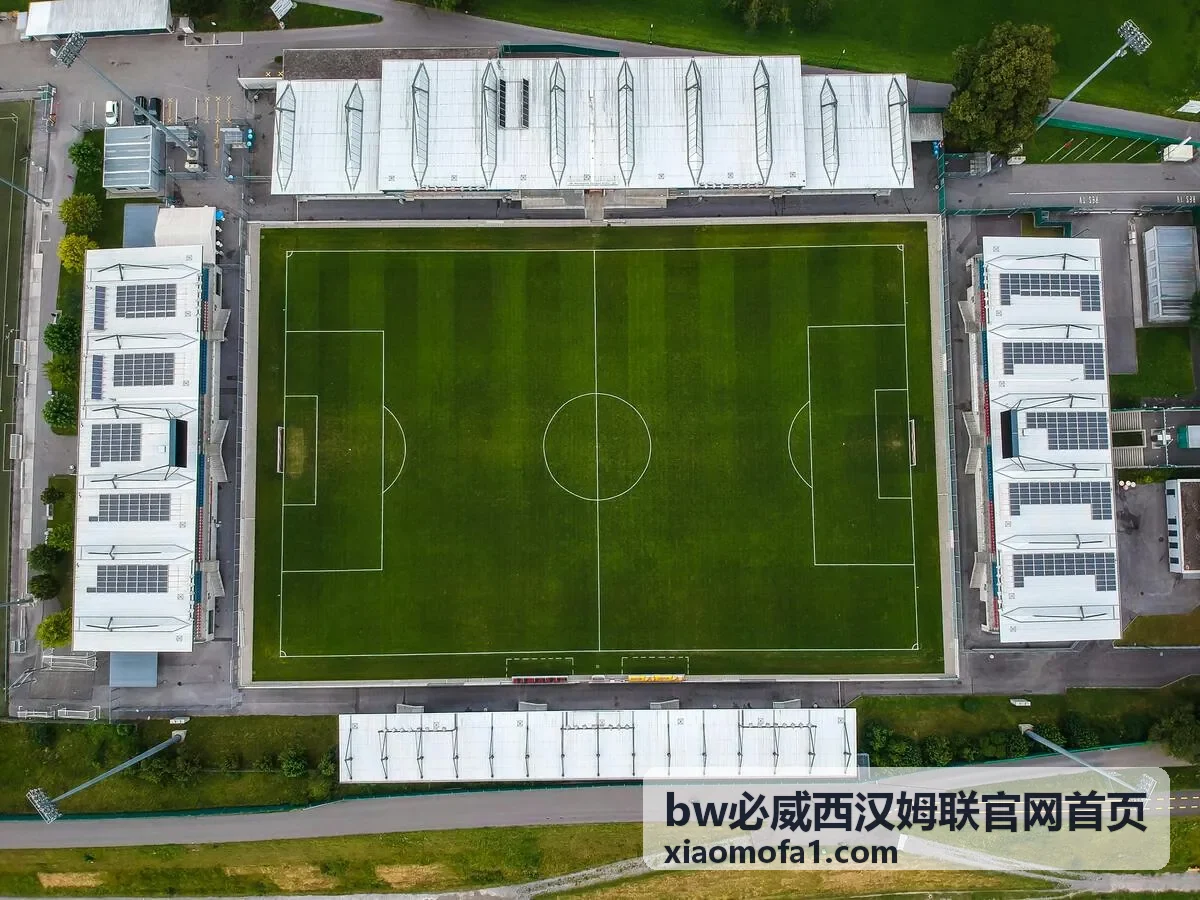 bw必威西汉姆联官网首页品牌动态发布：系统维护窗口安排公告配图