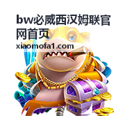 bw必威西汉姆联官网首页显示偏好与字号设置示意图